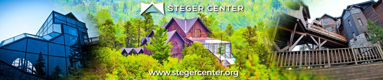 Steger Center