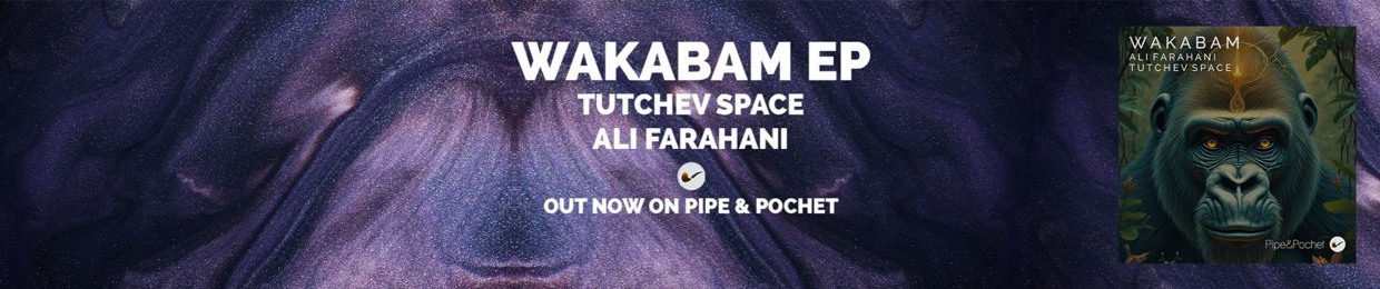 Tutchev Space