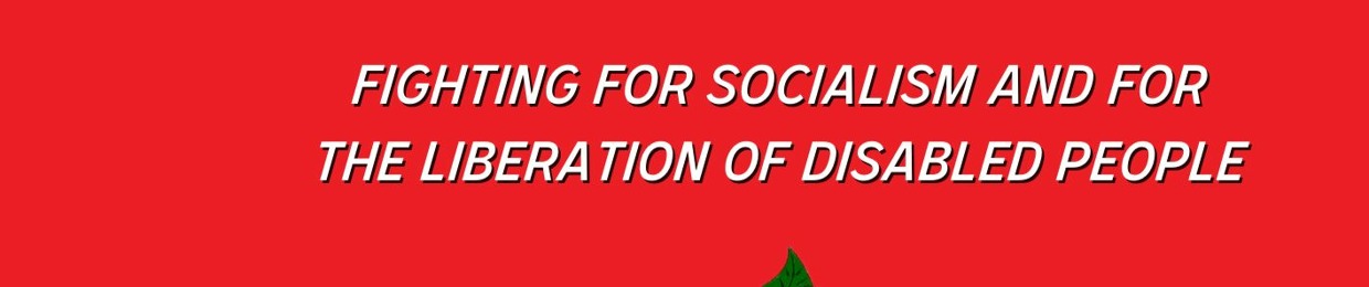 DSA Disability Working Group