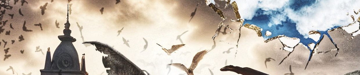 NNK Gray Archive (@thefakennk)