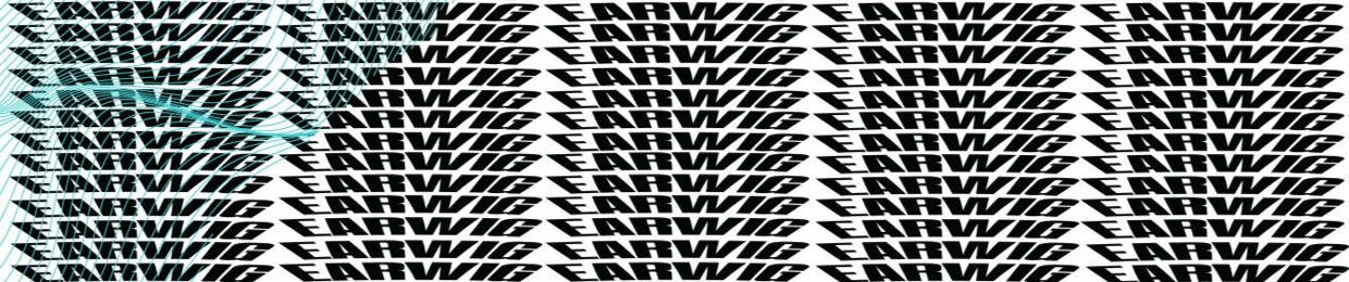 Earwig