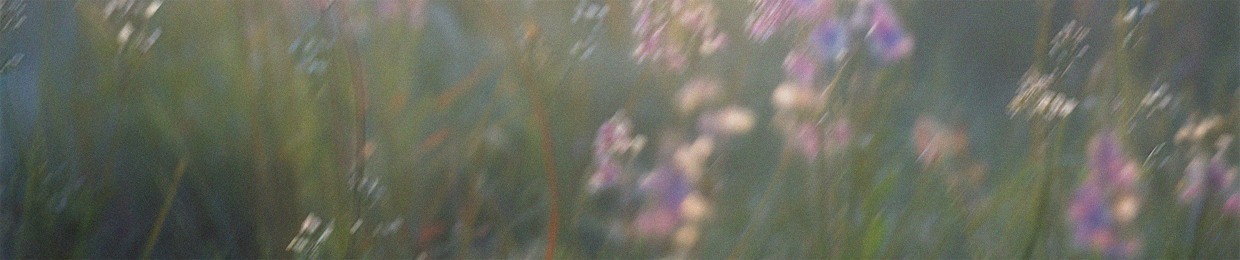 meadowform