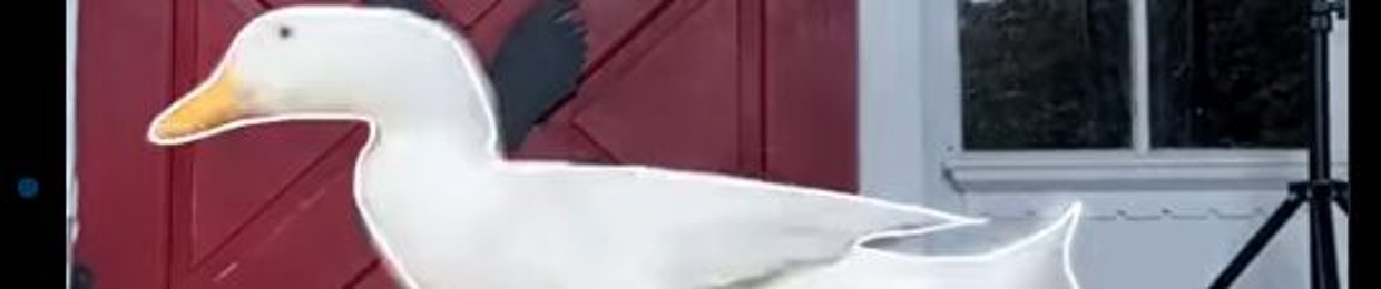 yuu