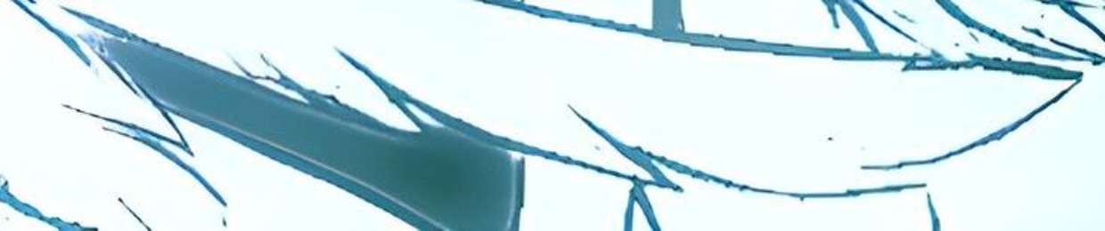 Z Y M R