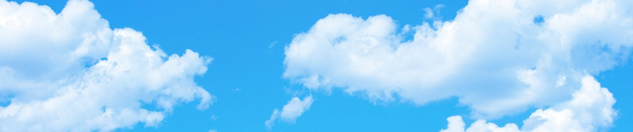 We Are Thelma & Louise