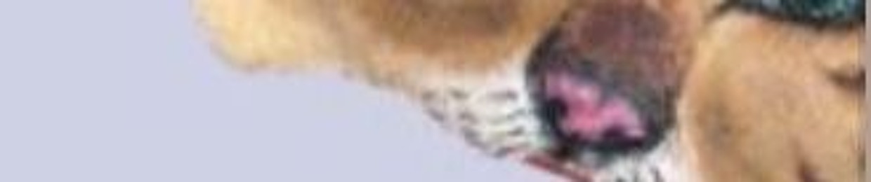 мямямяу
