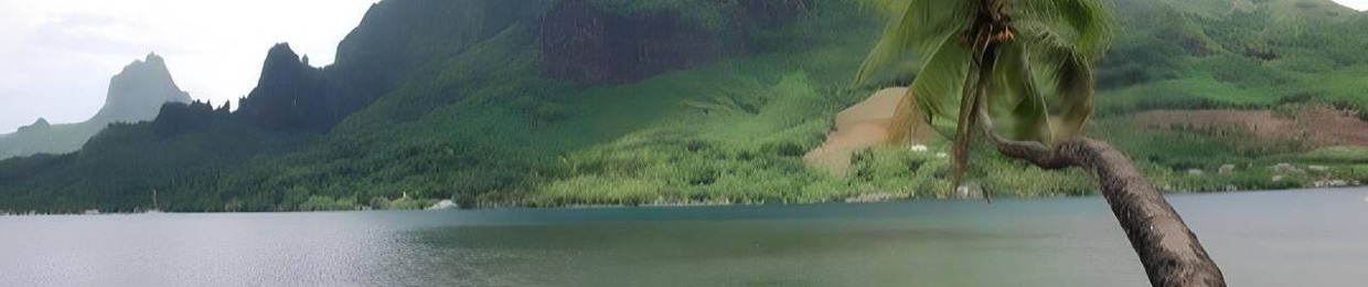 батя танки