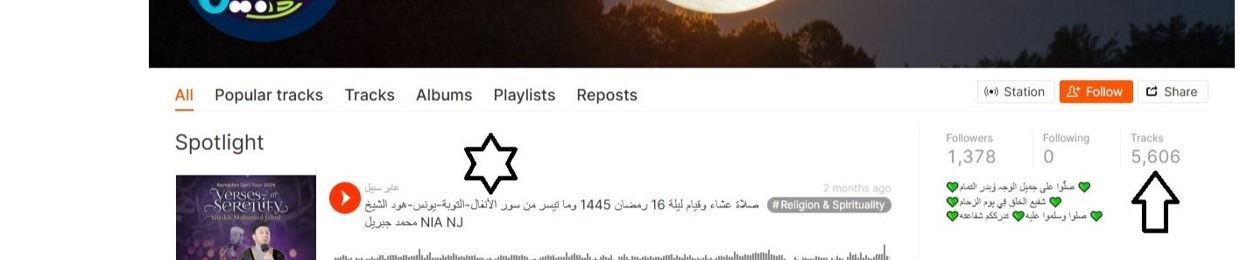 عابر سبيل