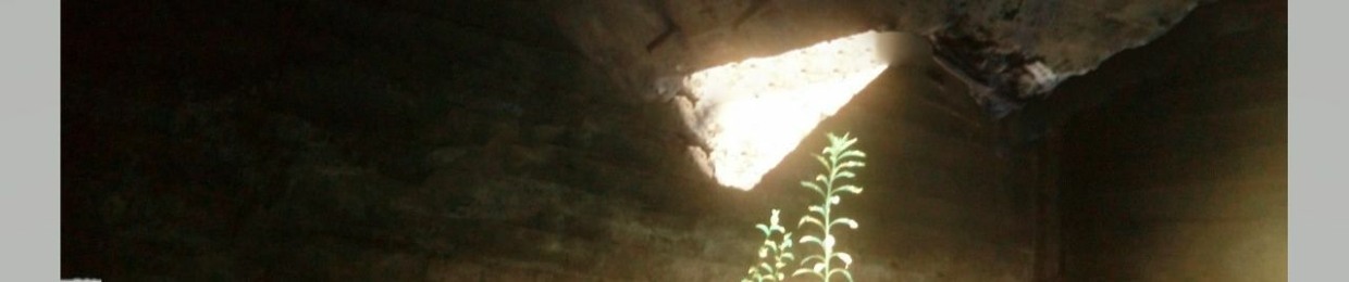 GRISCROMASOUL  FREESTYLE+BEAT/LIRICO/PRODUCTOR