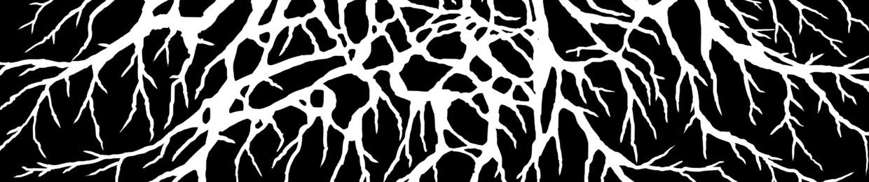 Blackmarketfossil