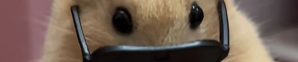 yyyo