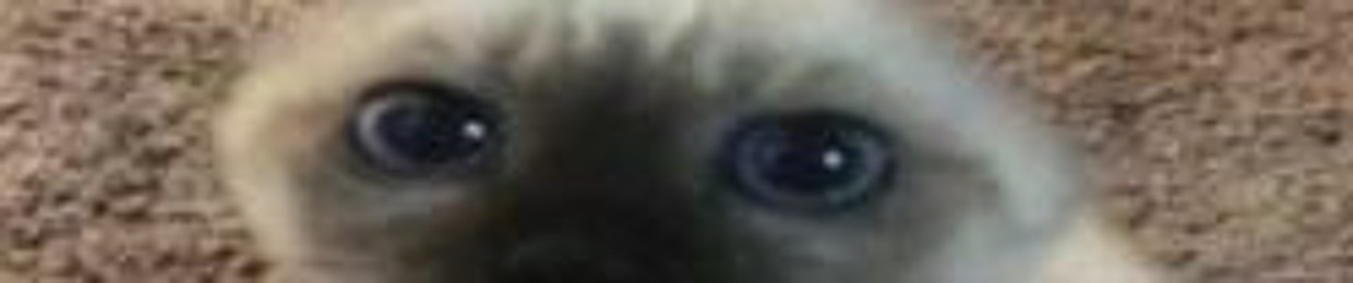 TetoTero