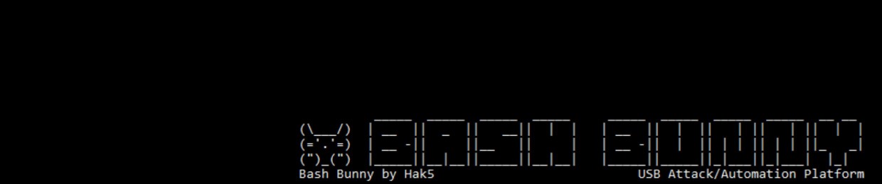 BashBunny