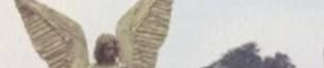 VKarmaneNozhRykiVKrovi