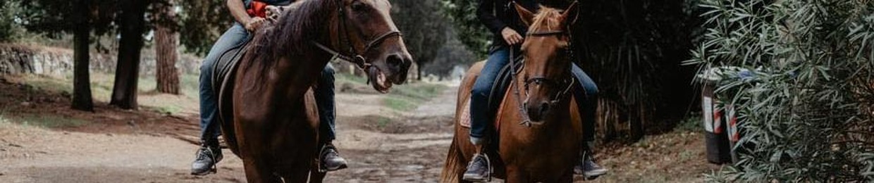 Ridingancientrome