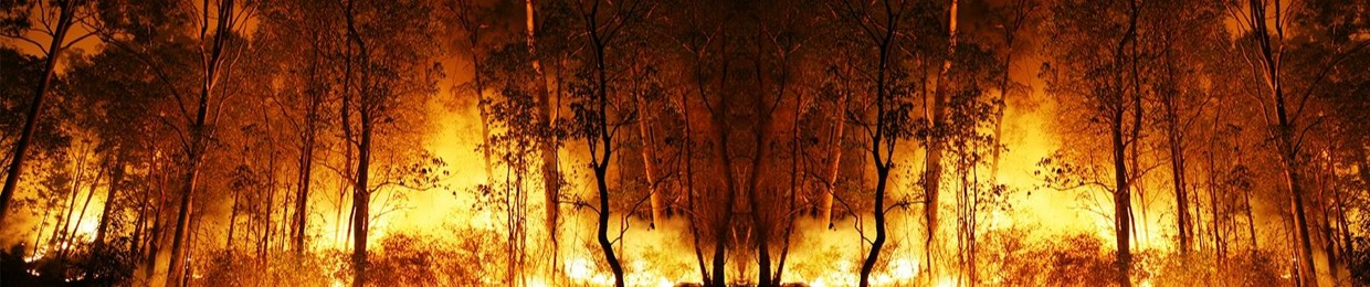 Bushfirepr0ct