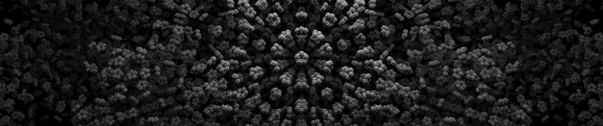 voidcaapi