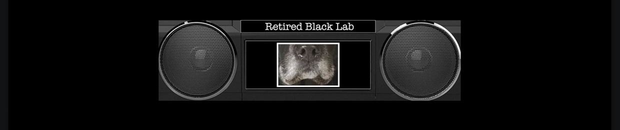 Retired Black Lab
