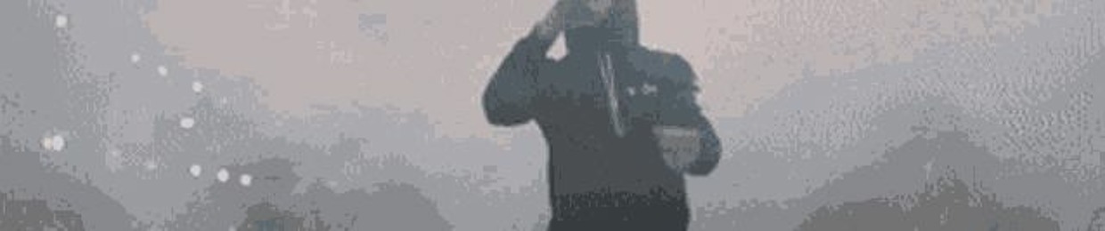 Z1G1