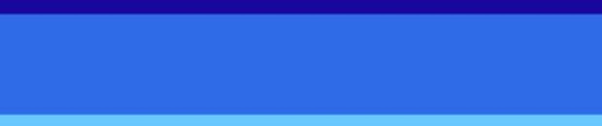 Netz I Guess