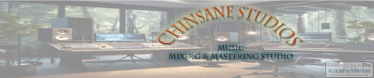 Chinsane Studios