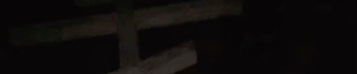 素敵なディックブロ
