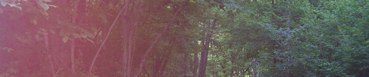 S1co