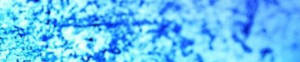 Super Dark Times (Fall Semester)