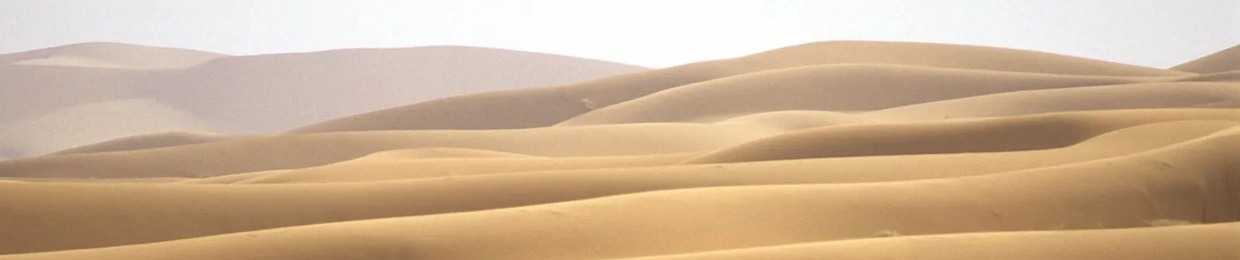 DesertBoyz 砂漠