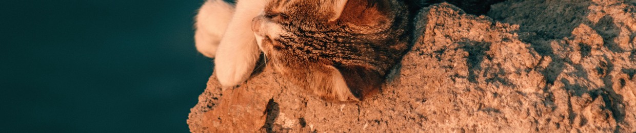 Ala