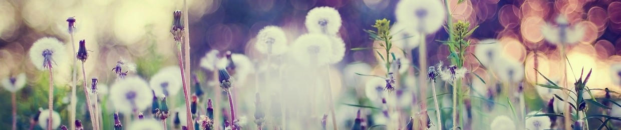 Mathilde Knott