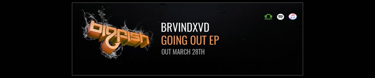 BRVINDXVD