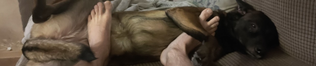 tobi