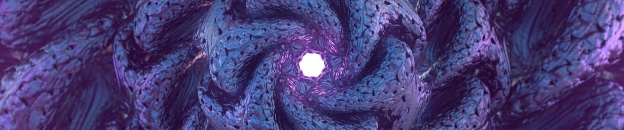 Explore and Discover