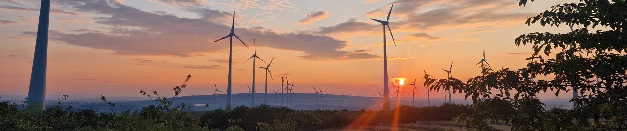 Scheppern auf Brettern