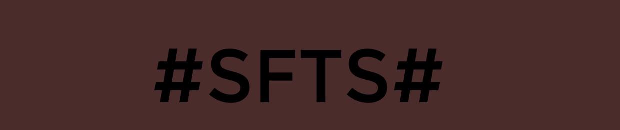 Straightforwardtechnoseries