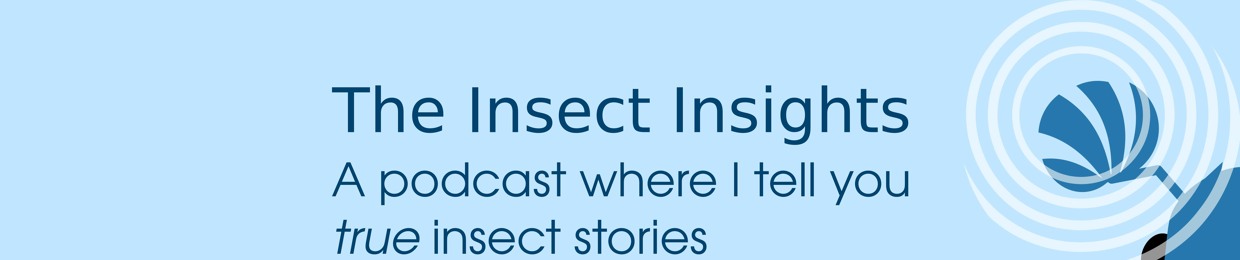 The Insect Insights