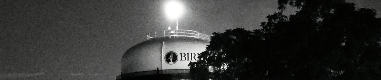 the mystic loner ( )