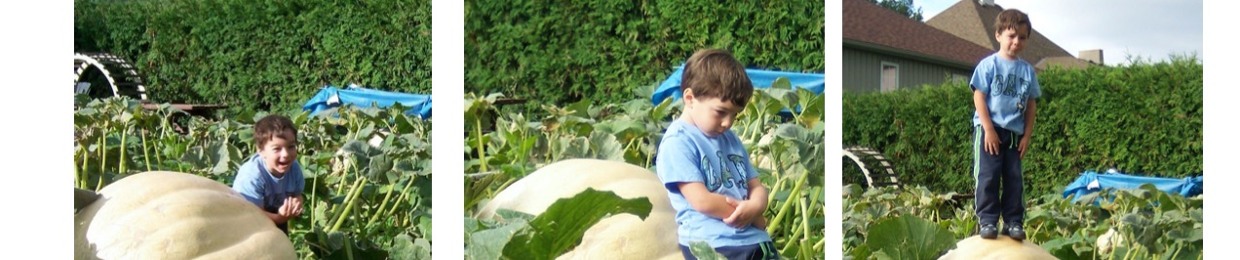 The Echo Theory Project