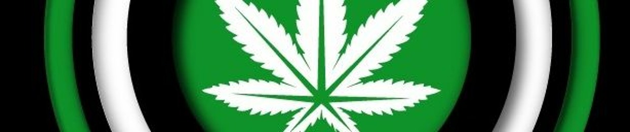 Behind The Bud w/ D. Day & Indo