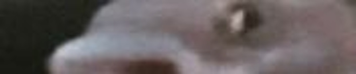 PolskahackYT
