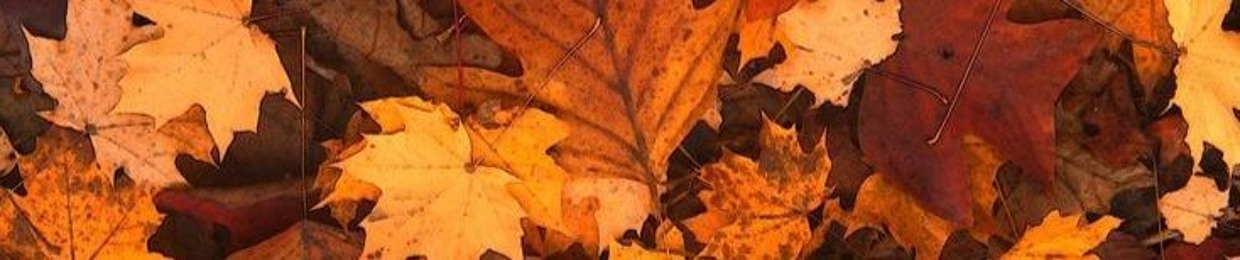 Pumkin head