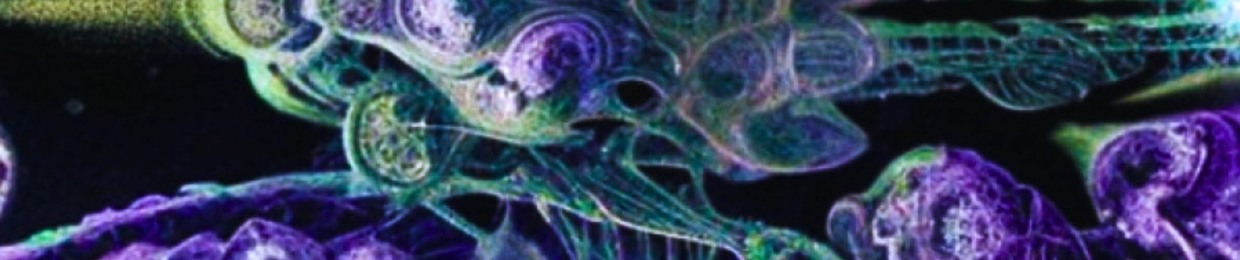 ENIGMA