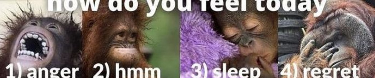 Jared Not from subway