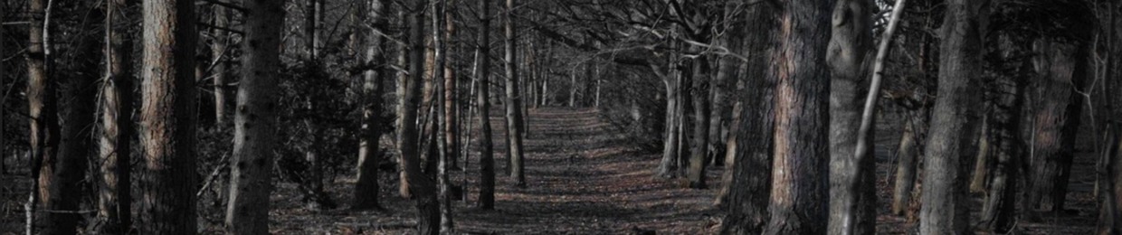 ØRXIV