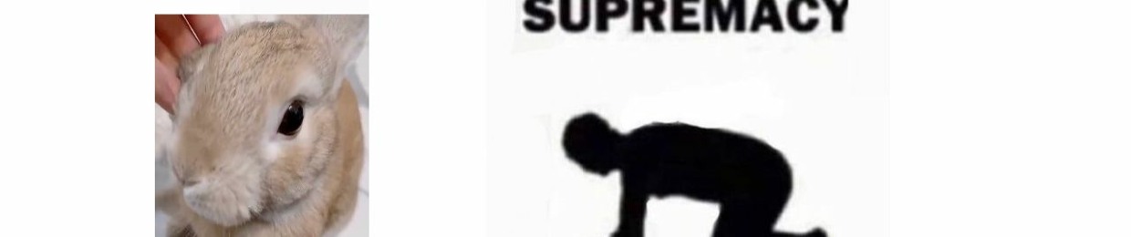 Master !!!!11!!!!!11!