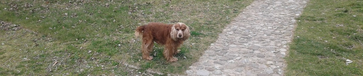 Carlo Polmone  Croci