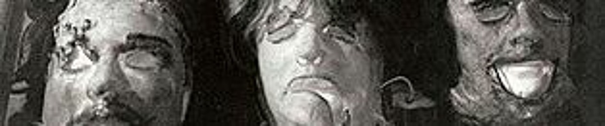 FACE DISECTION