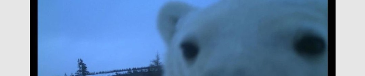Milou-w
