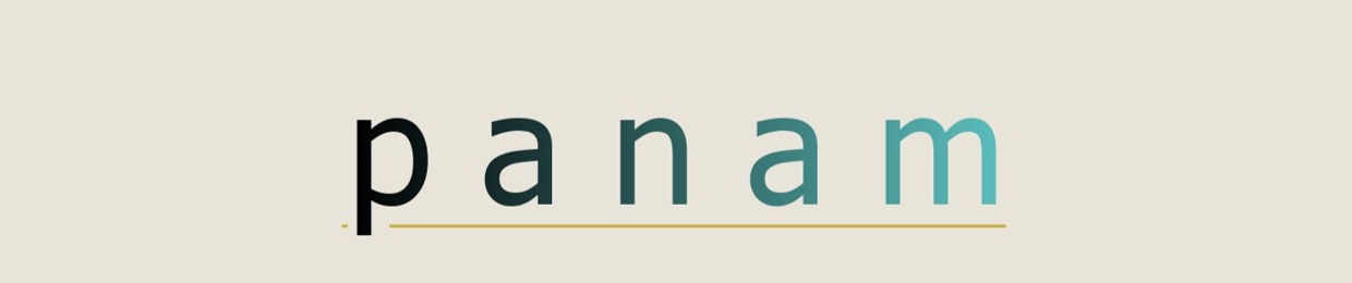 p a n a m
